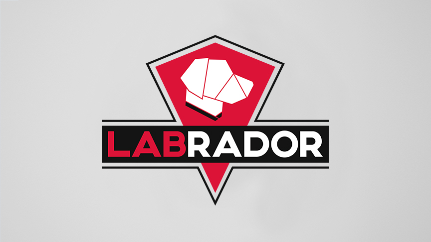 Labrador Laborkurier
